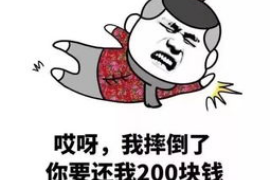 东营融资清欠服务